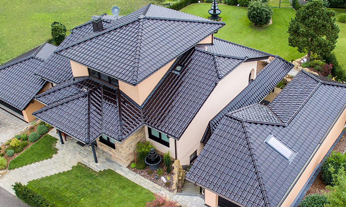 FLANDERNPLUS_brazil_1