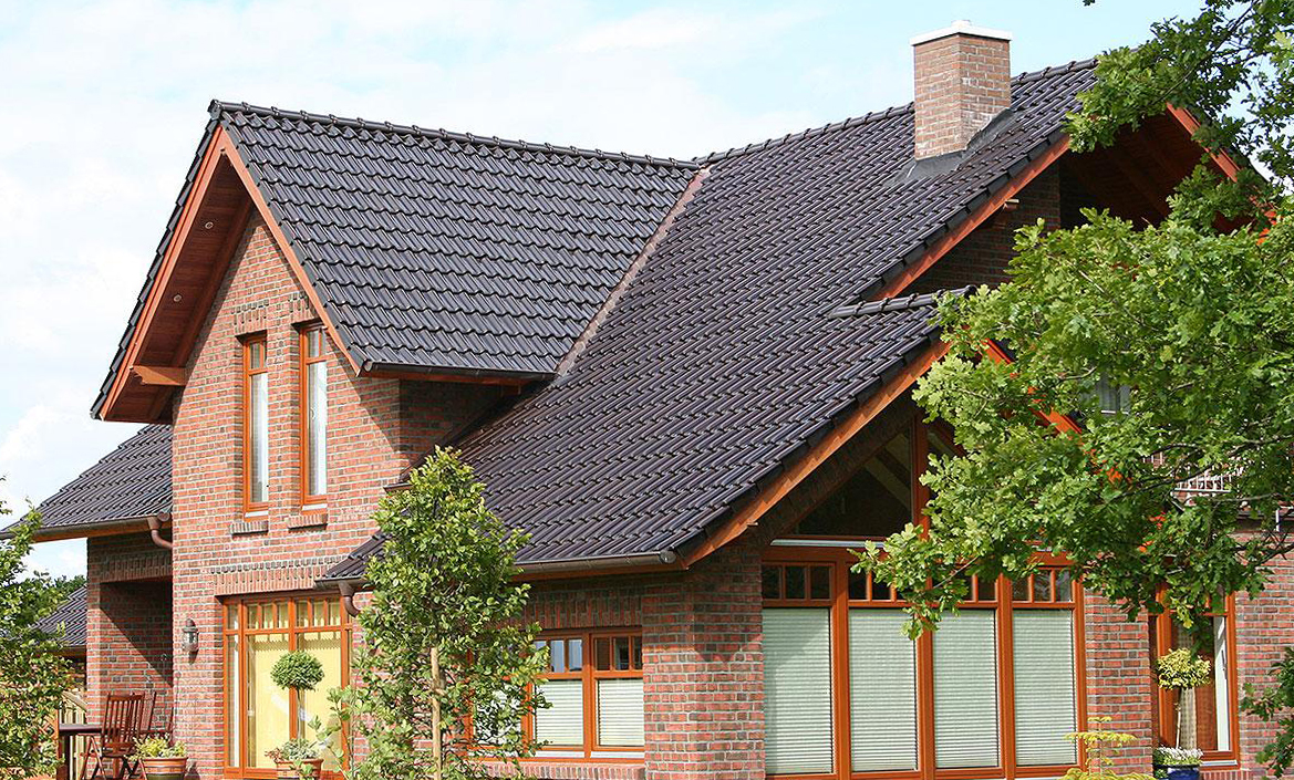 FLANDERNPLUS_brazil_2